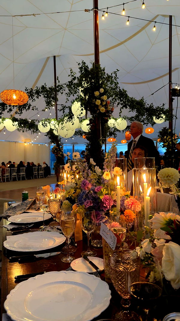 bellarenaldii image ~ Altpins