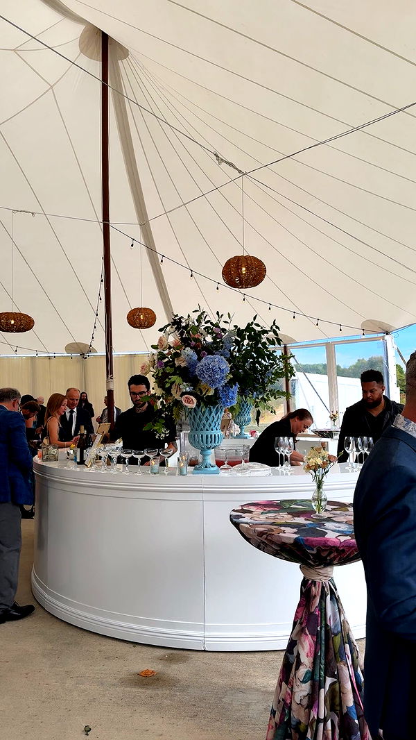 bellarenaldii image ~ Altpins