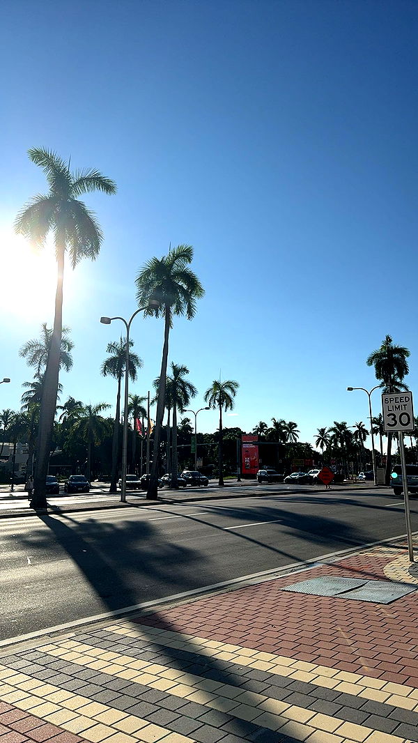 bellarenaldii image ~ Altpins