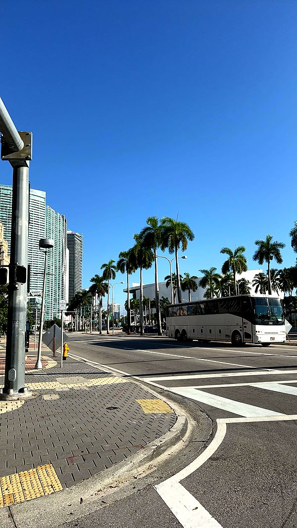 bellarenaldii image ~ Altpins