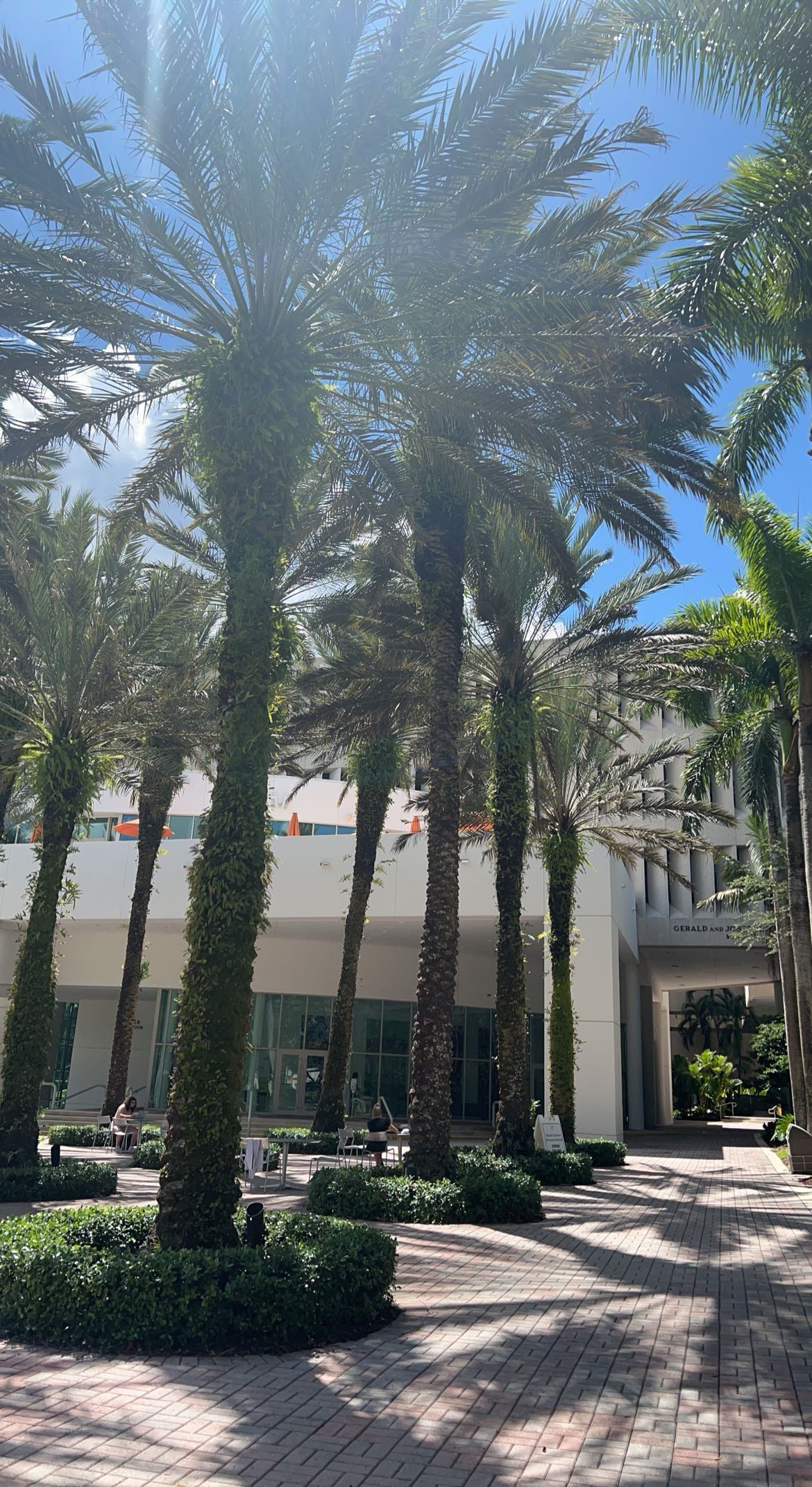 bellarenaldii snapchat image archive image