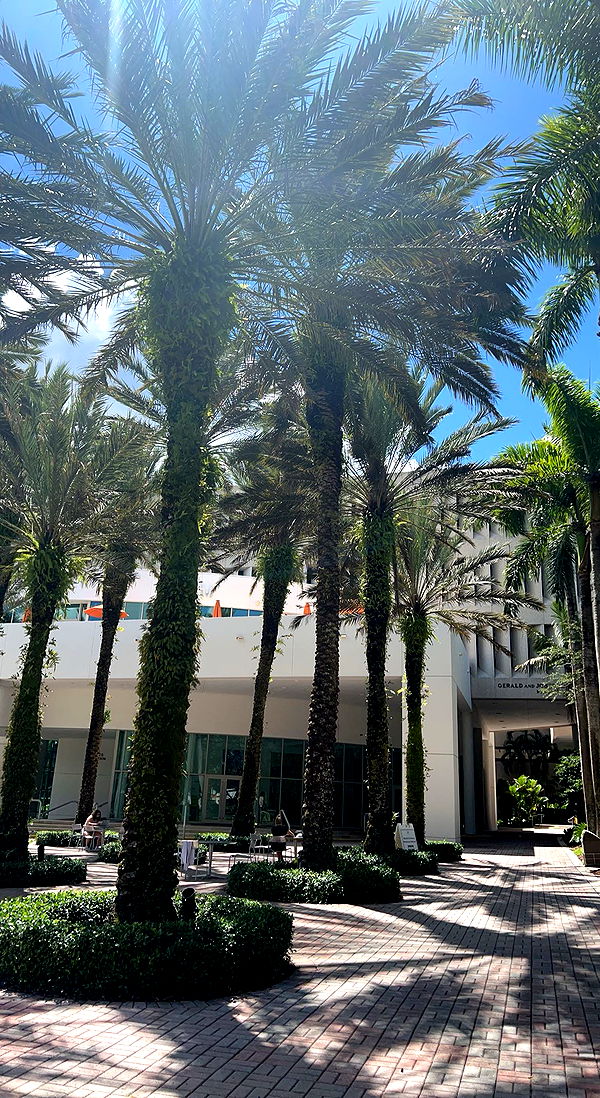 bellarenaldii image ~ Altpins