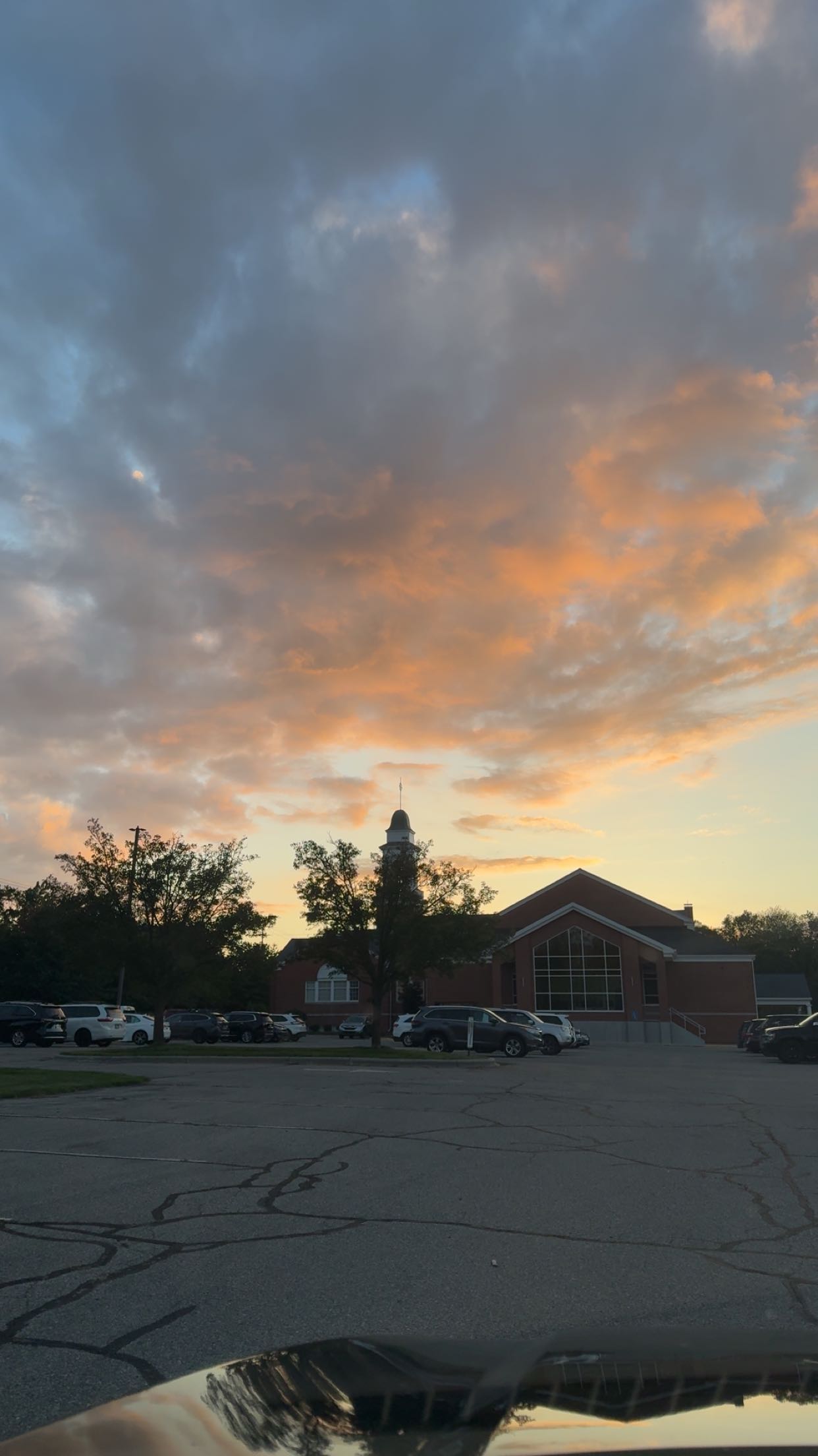 bellarenaldii snapchat image archive image