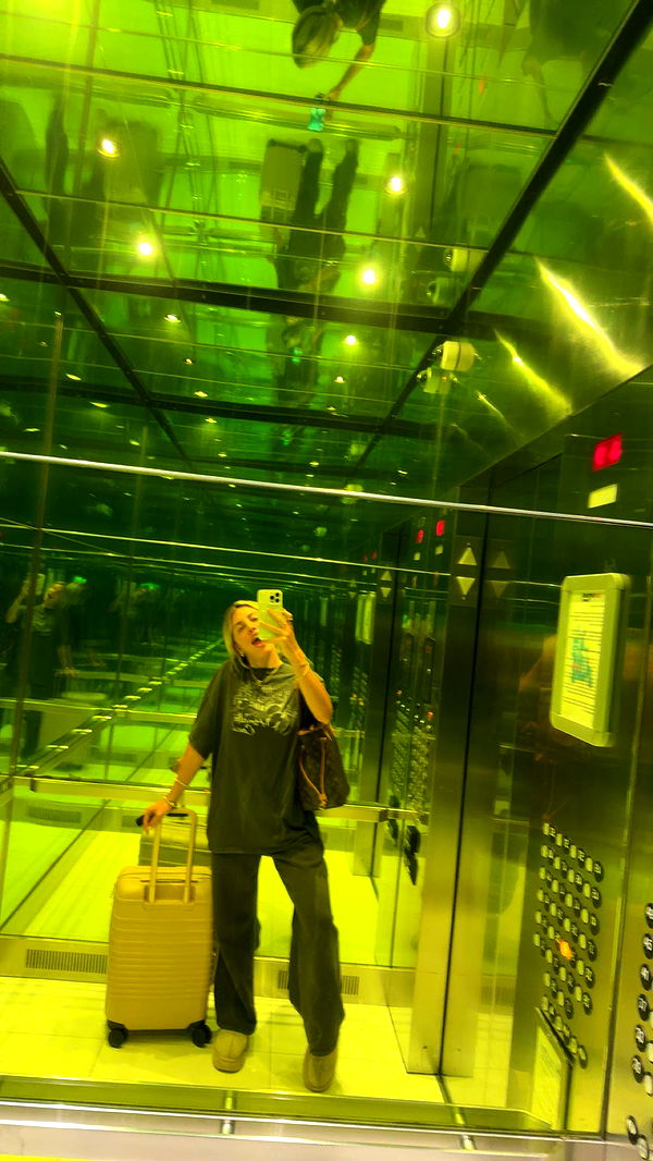 bellarenaldii image ~ Altpins