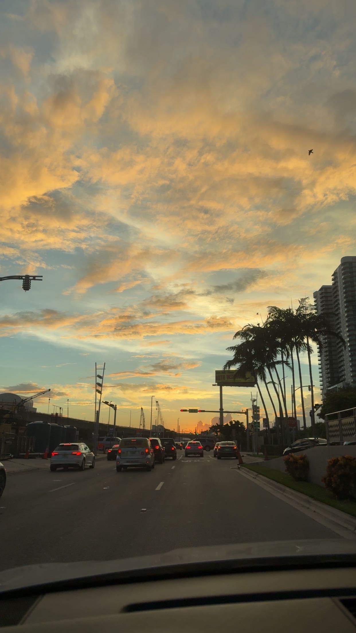 bellarenaldii snapchat image archive image