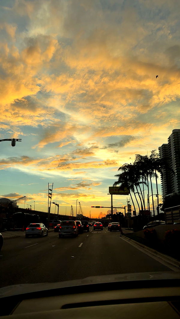 bellarenaldii image ~ Altpins