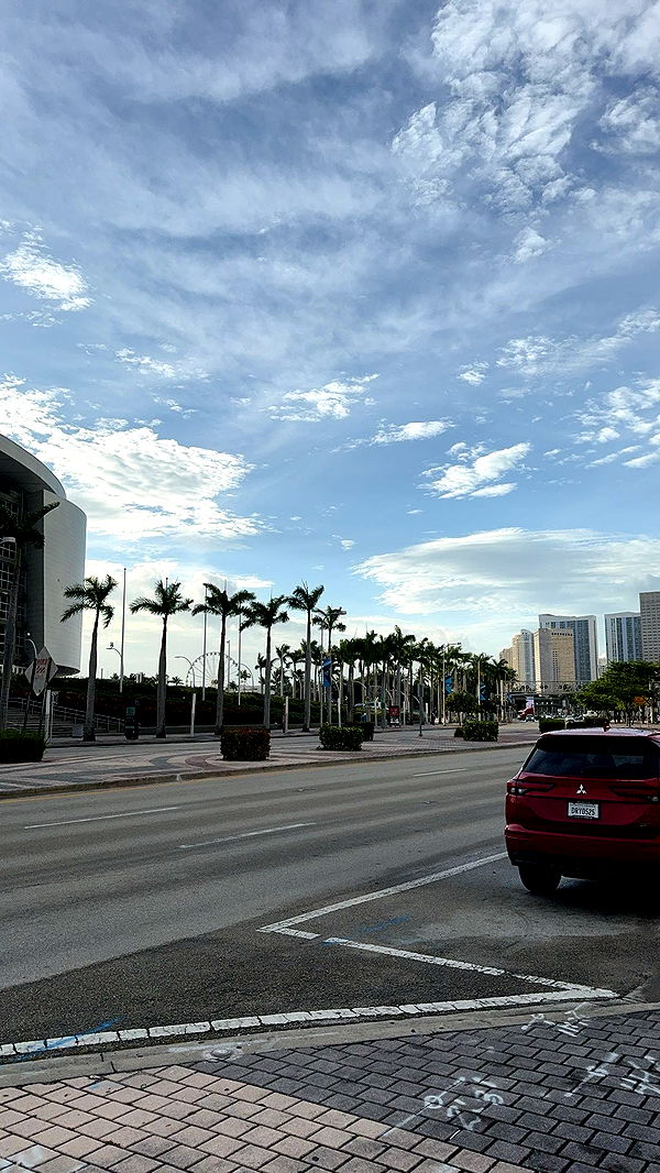 bellarenaldii image ~ Altpins