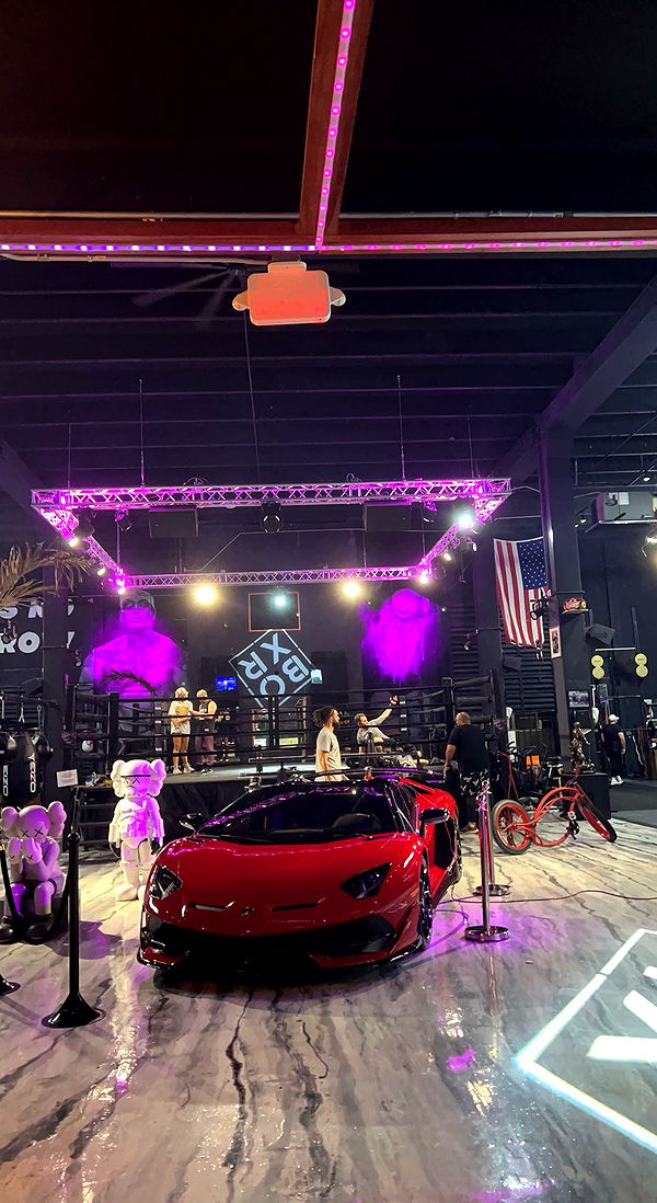 bellarenaldii image ~ Altpins