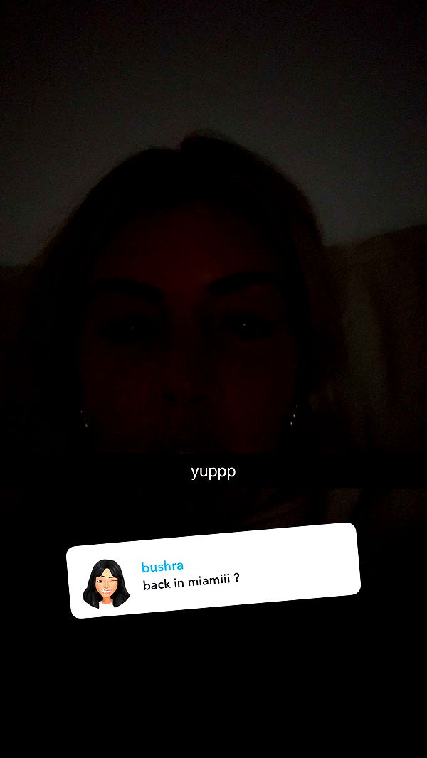 bellarenaldii image ~ Altpins