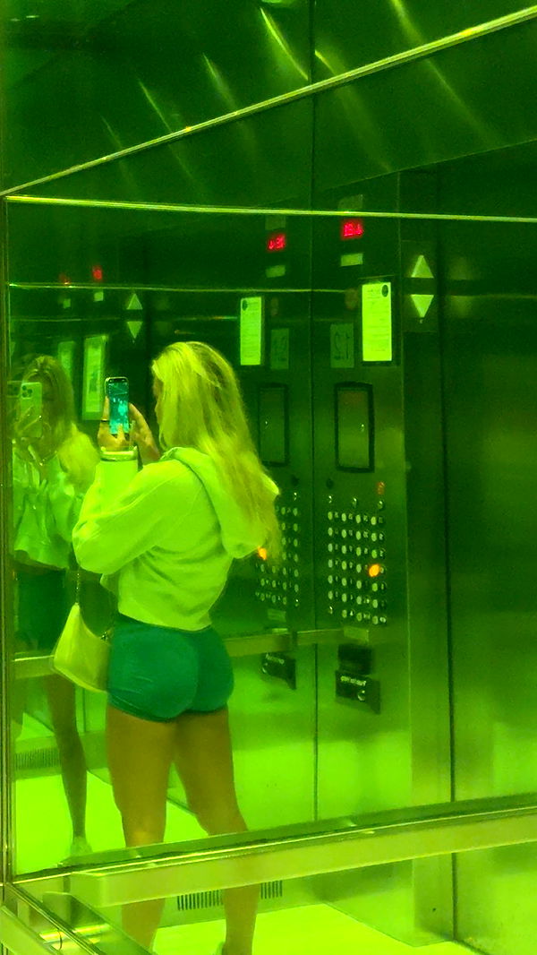 bellarenaldii image ~ Altpins