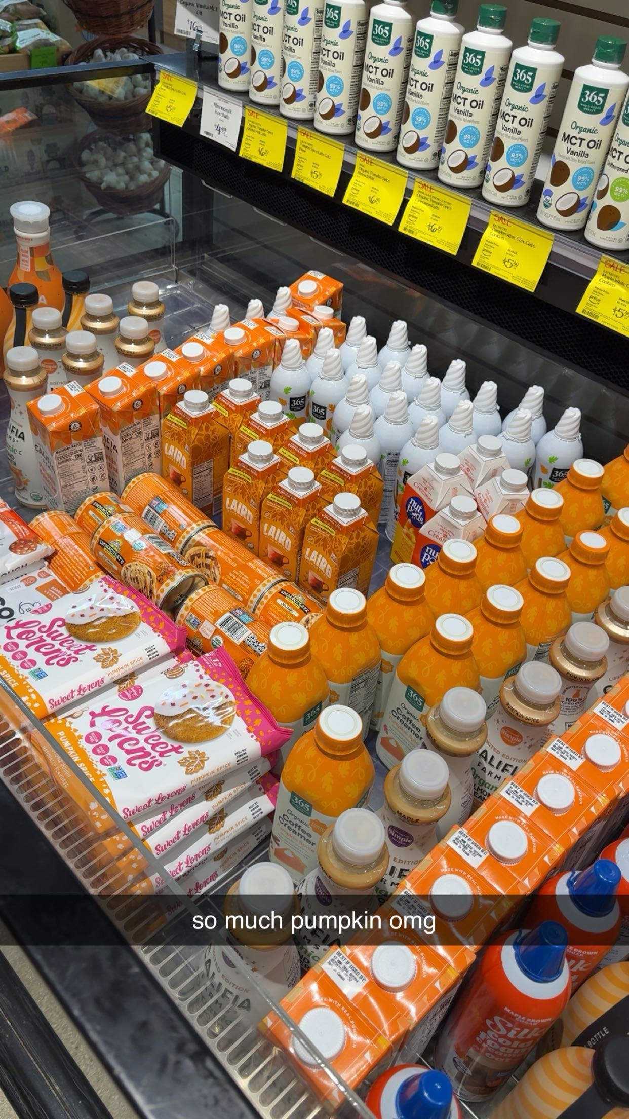 bellarenaldii snapchat image archive image