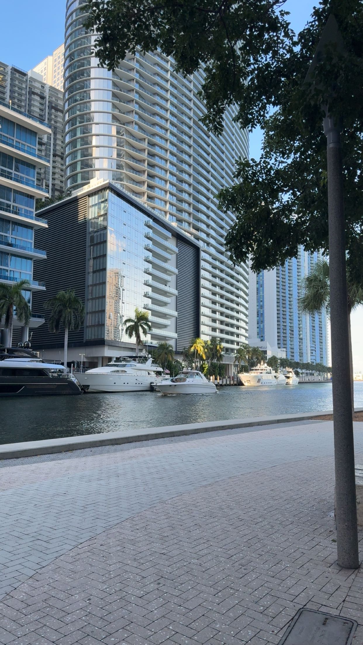 bellarenaldii snapchat image archive image