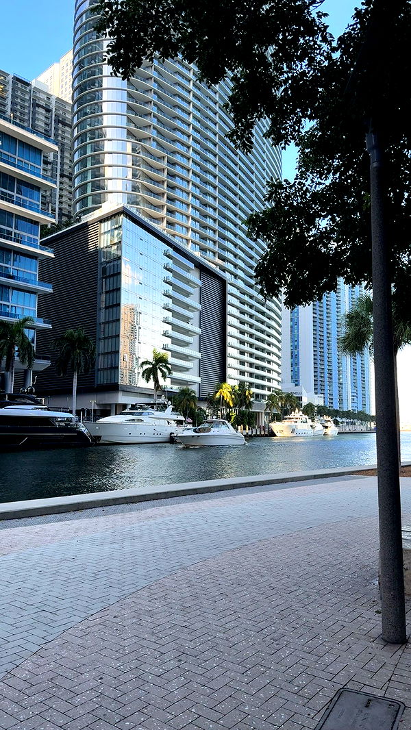 bellarenaldii image ~ Altpins