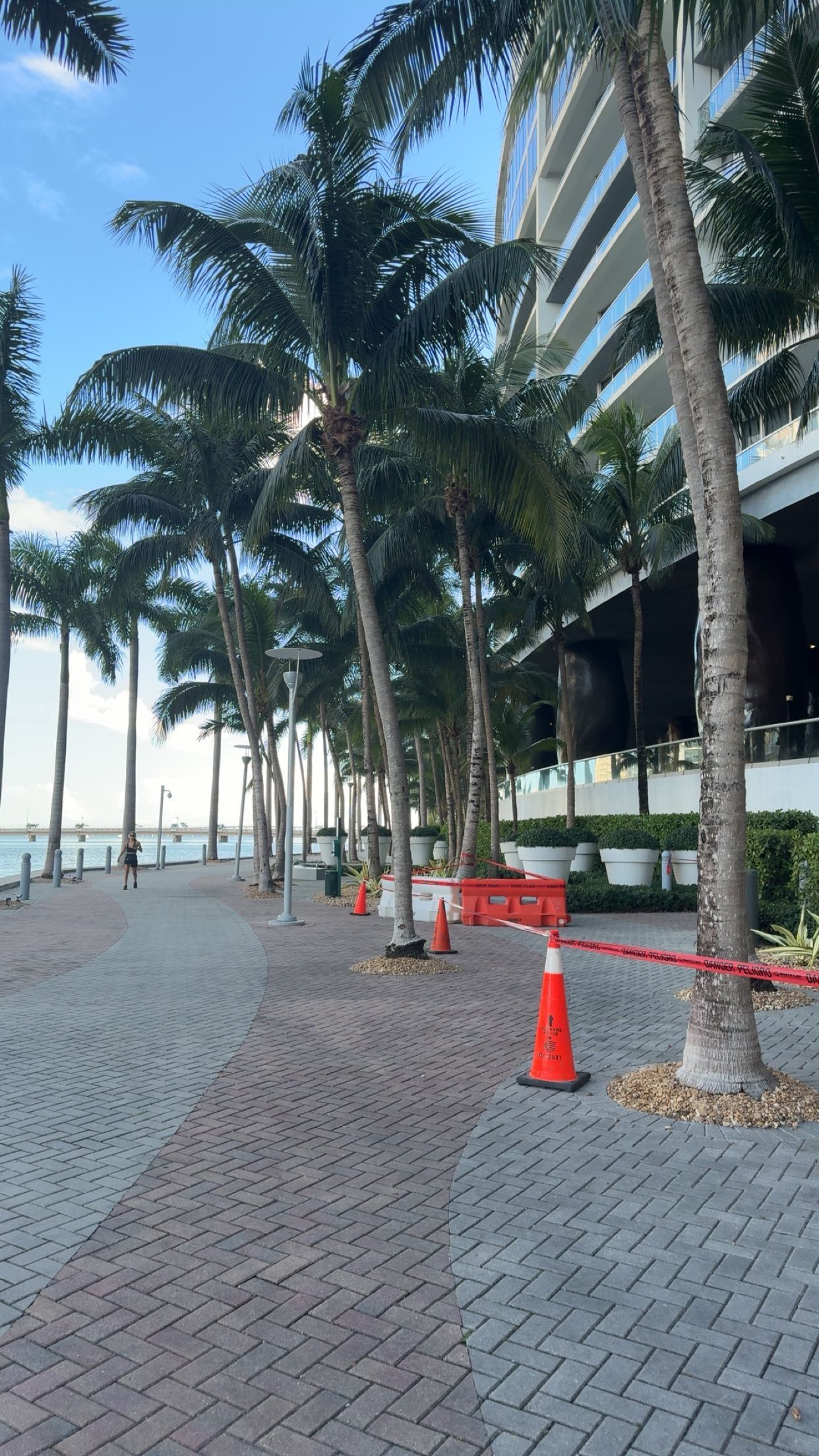 bellarenaldii snapchat image archive image