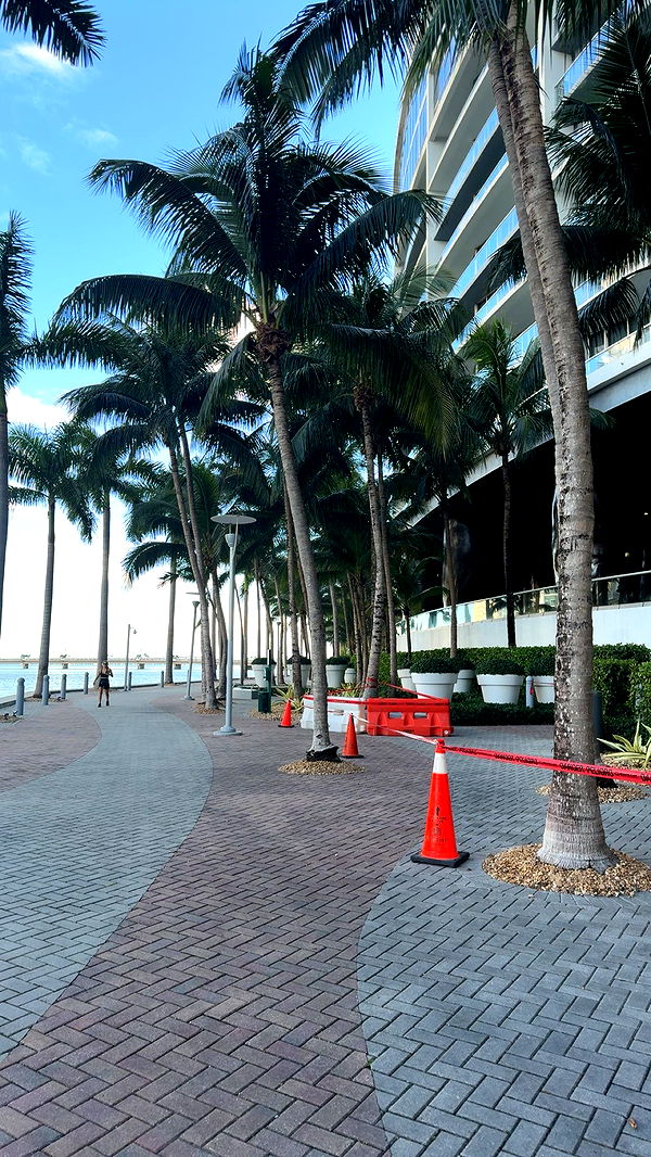 bellarenaldii image ~ Altpins