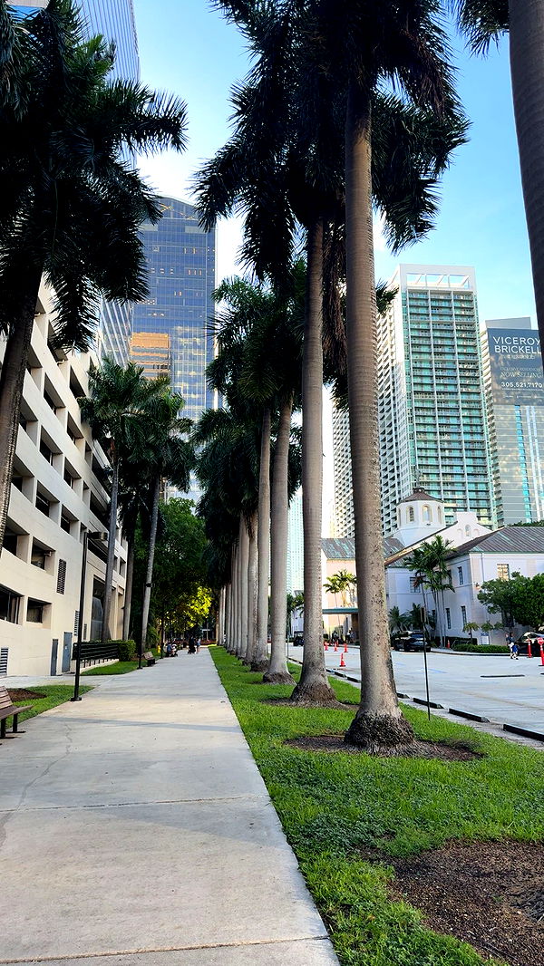 bellarenaldii image ~ Altpins