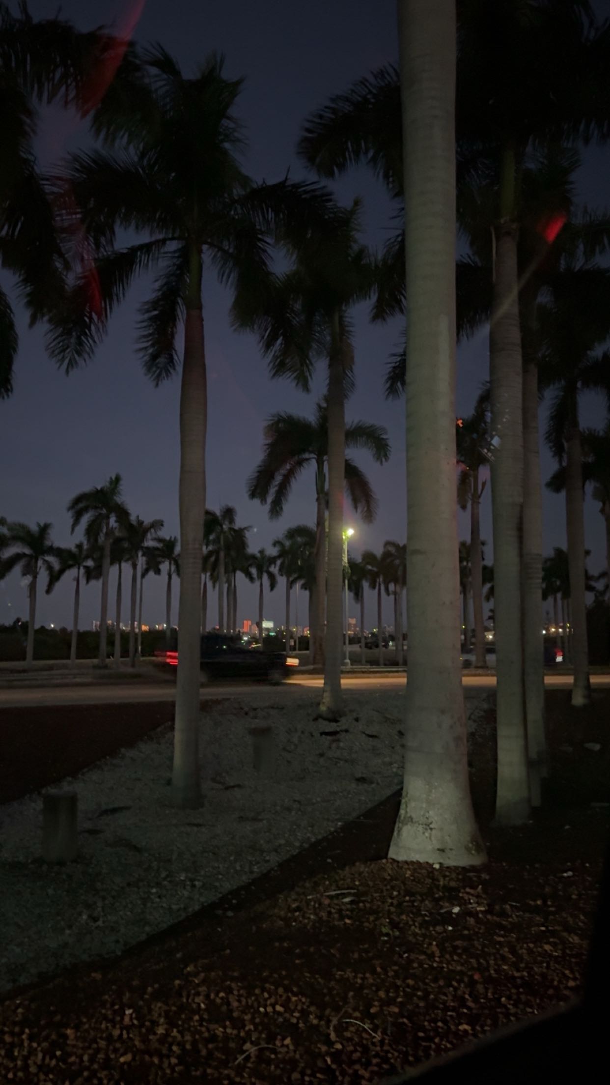 bellarenaldii snapchat image archive image