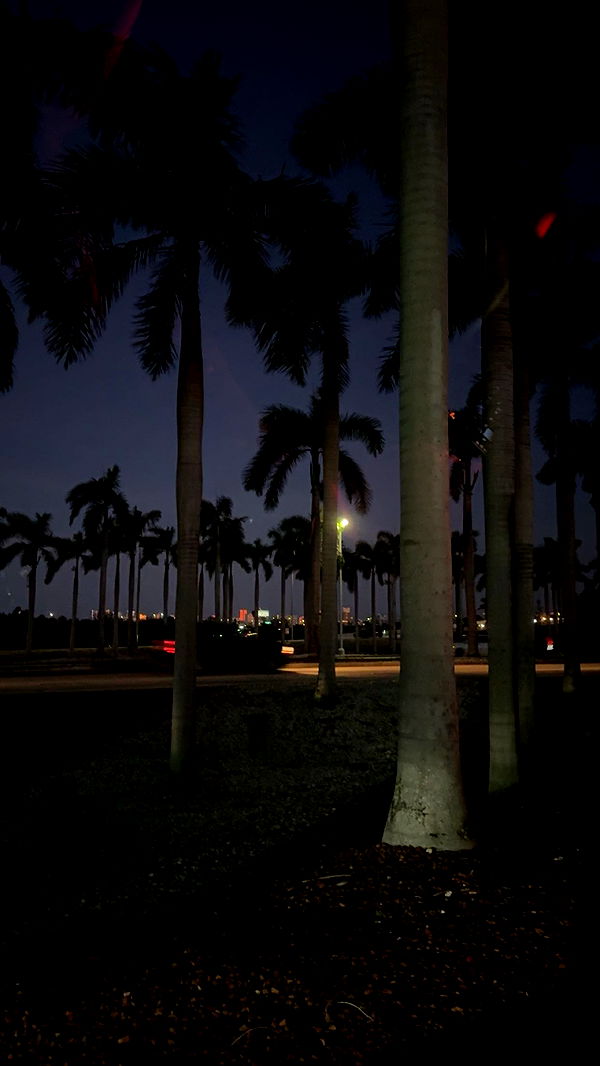 bellarenaldii image ~ Altpins