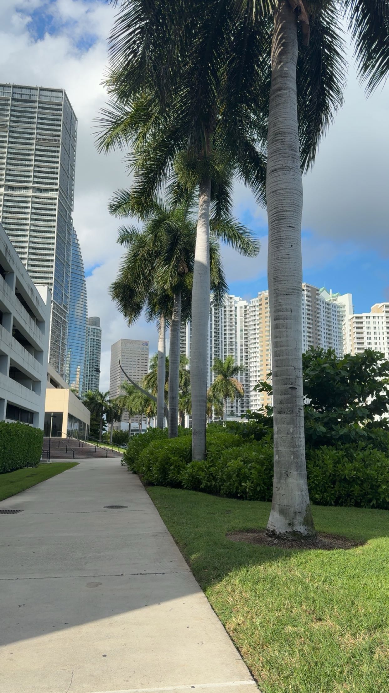 bellarenaldii snapchat image archive image