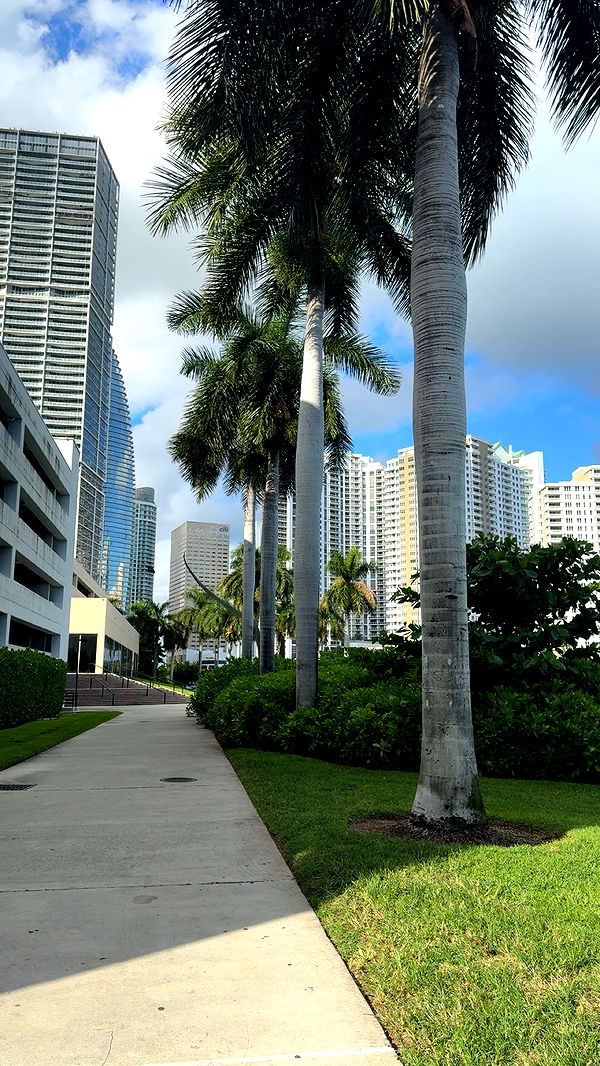 bellarenaldii image ~ Altpins