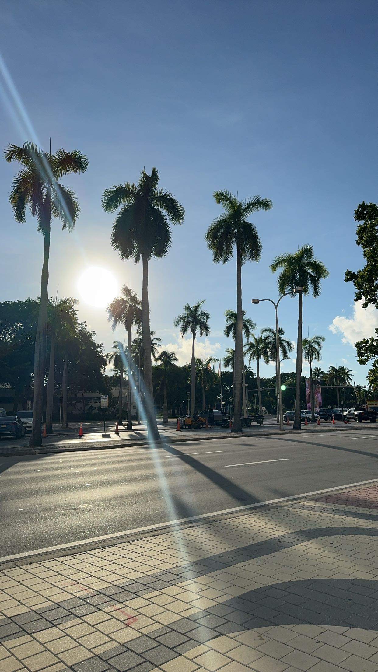 bellarenaldii snapchat image archive image