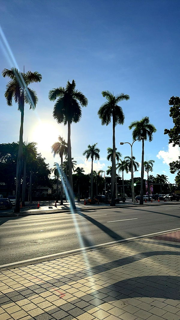 bellarenaldii image ~ Altpins