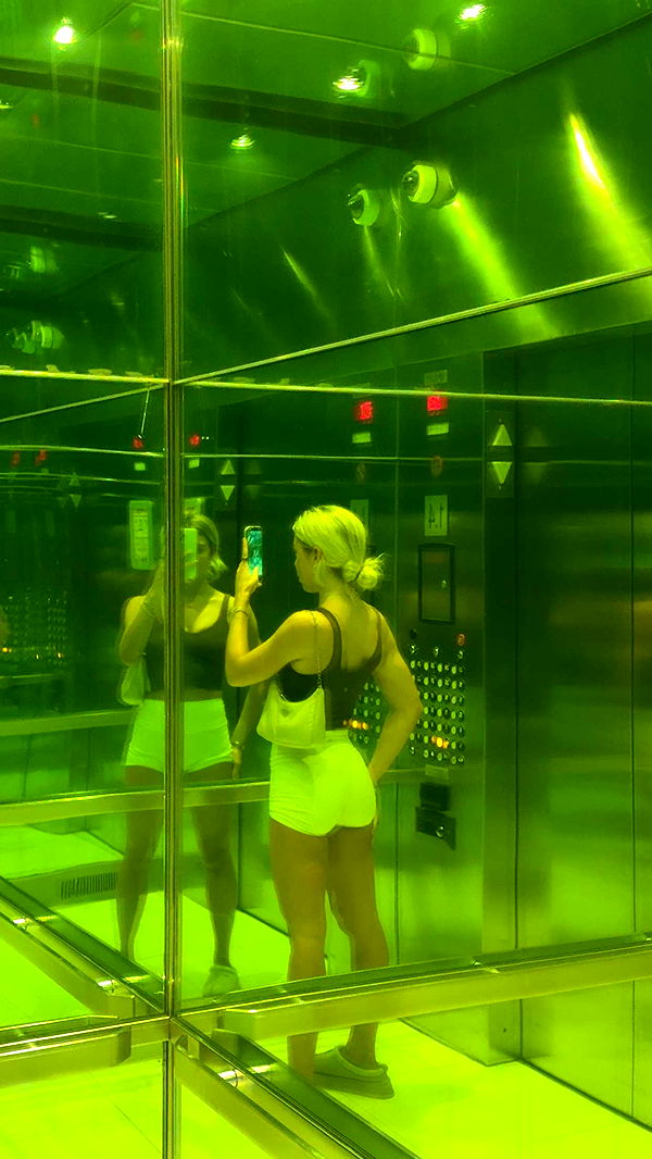 bellarenaldii image ~ Altpins