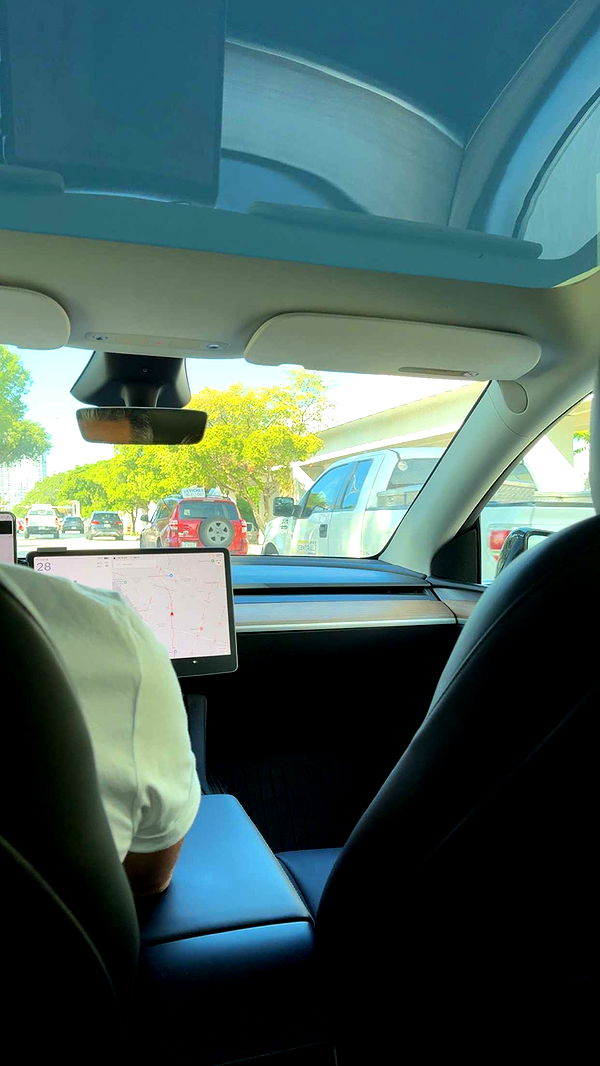 bellarenaldii image ~ Altpins