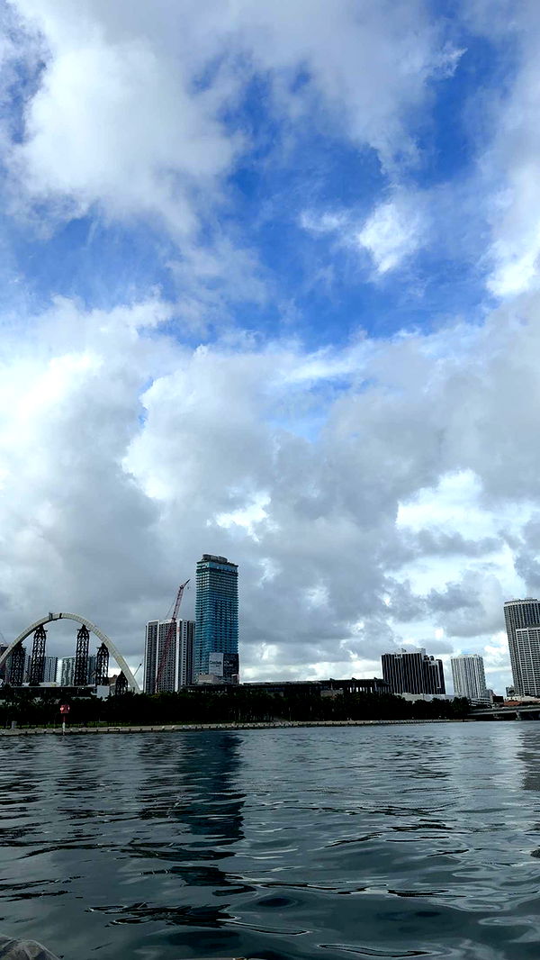 bellarenaldii image ~ Altpins