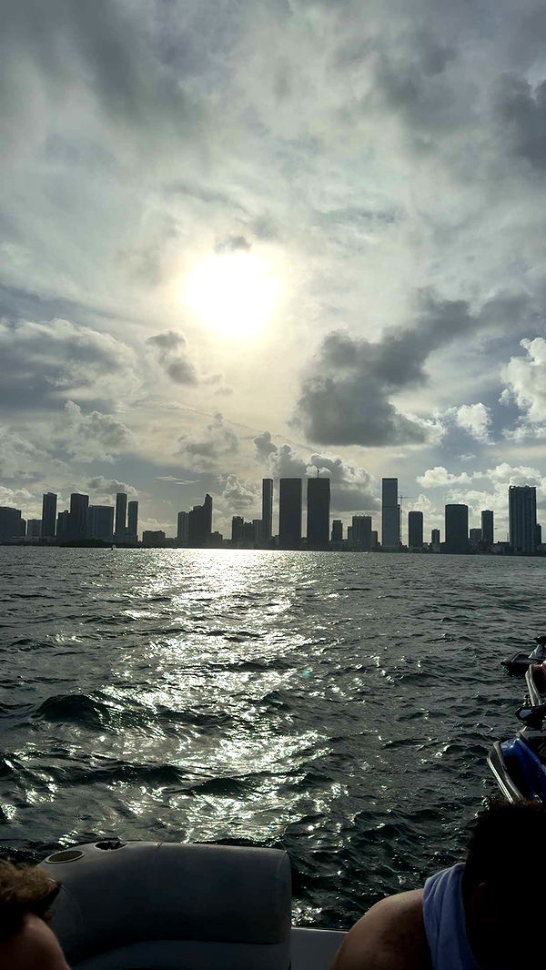 bellarenaldii image ~ Altpins