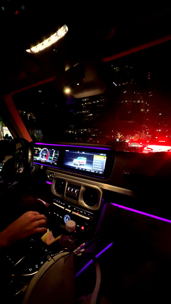 bellarenaldii image ~ Altpins