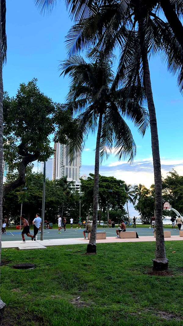 bellarenaldii image ~ Altpins