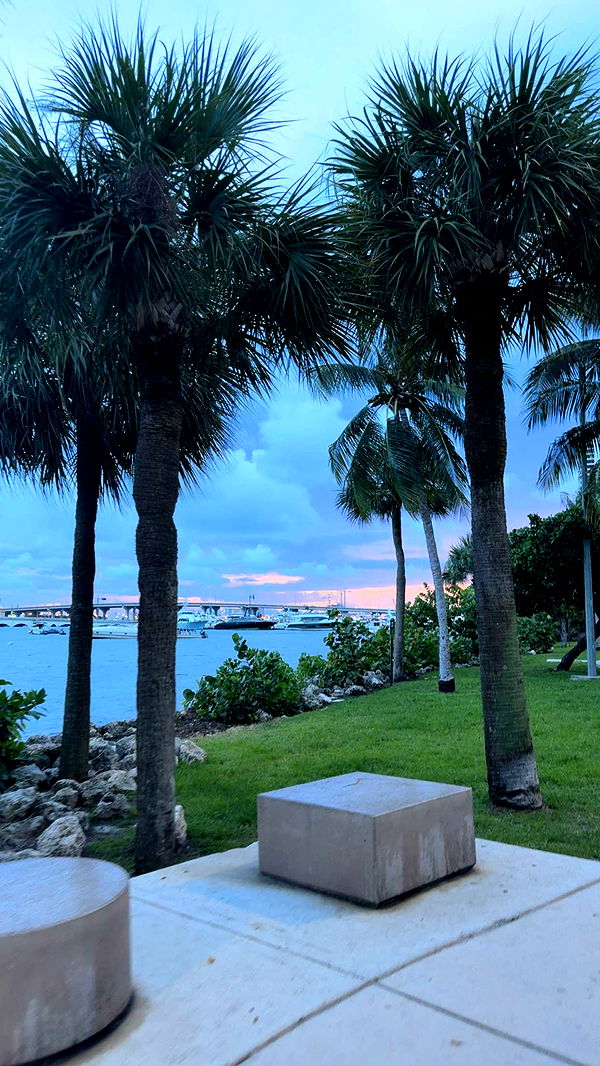 bellarenaldii image ~ Altpins