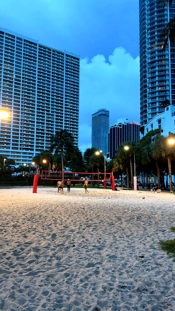 bellarenaldii image ~ Altpins