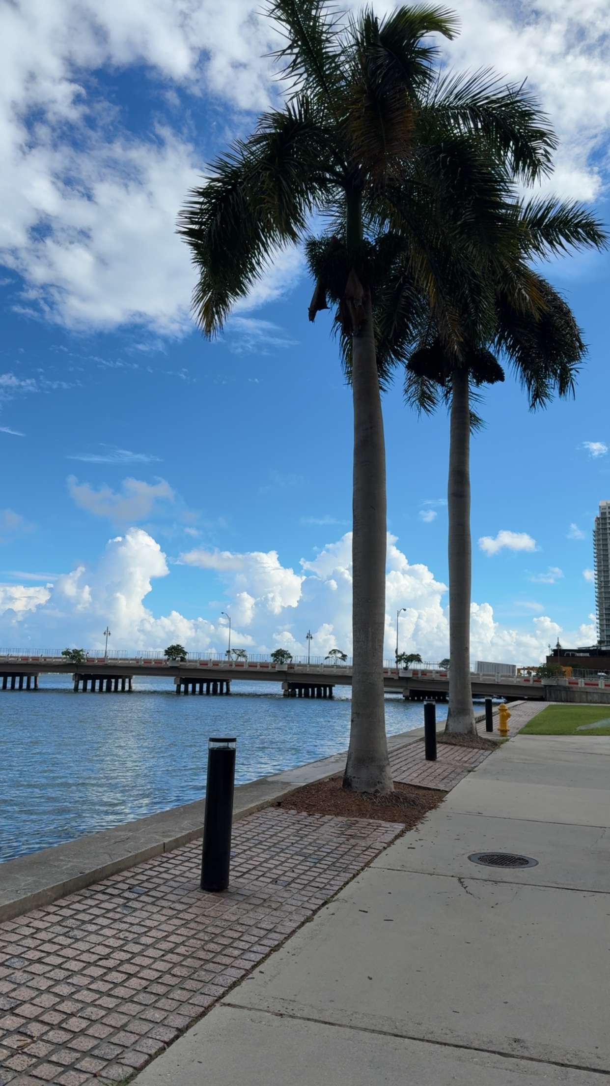 bellarenaldii snapchat image archive image