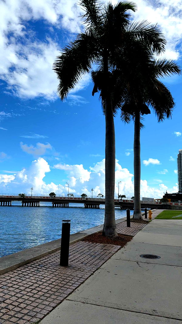 bellarenaldii image ~ Altpins