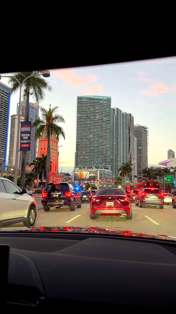 bellarenaldii image ~ Altpins