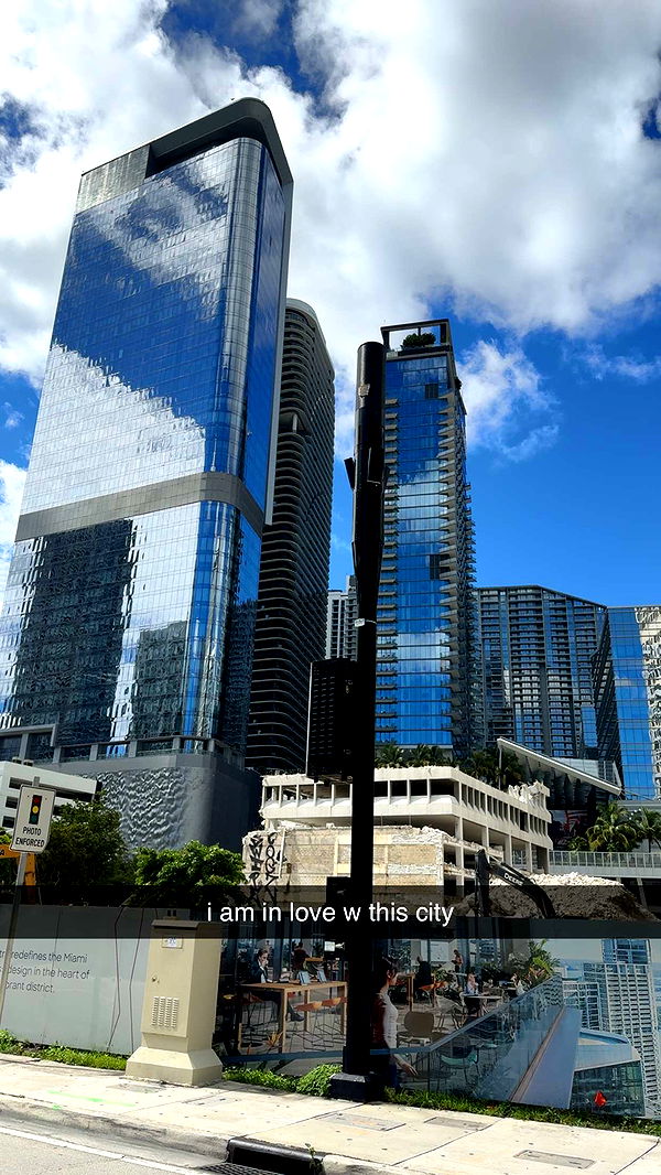 bellarenaldii image ~ Altpins