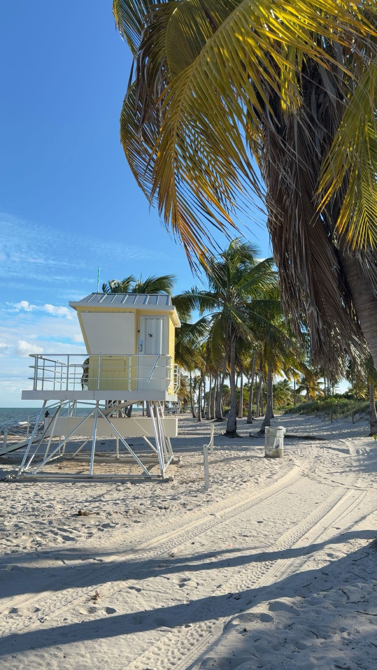 bellarenaldii snapchat image archive image