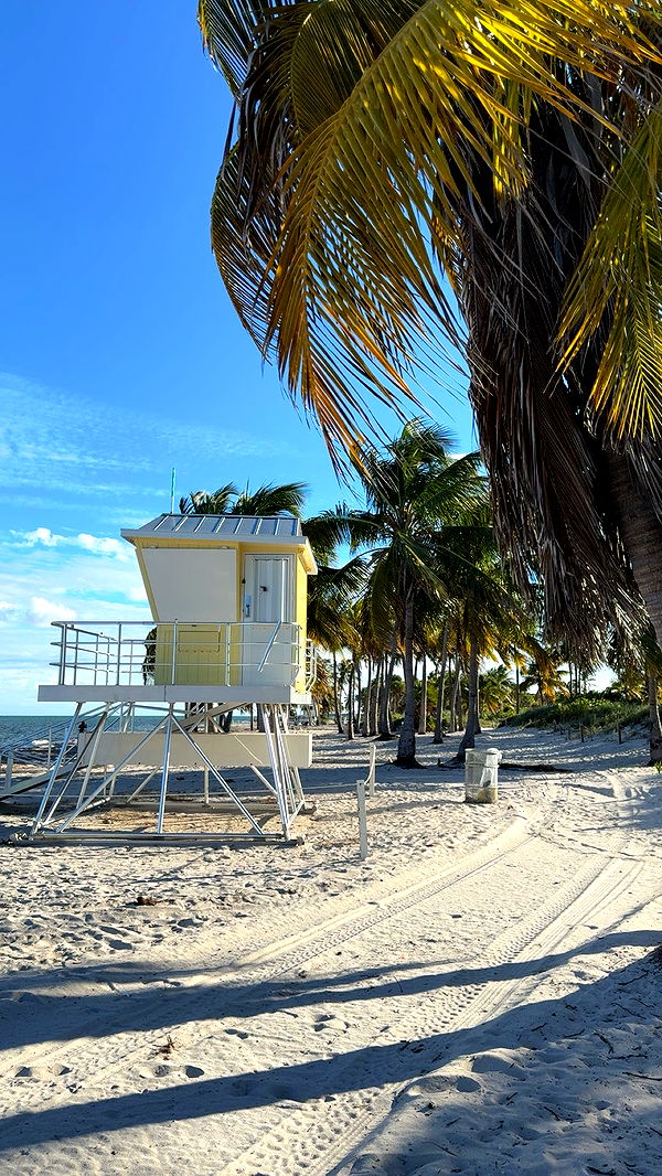 bellarenaldii image ~ Altpins