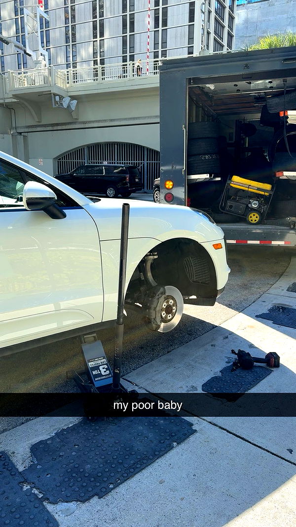 bellarenaldii image ~ Altpins