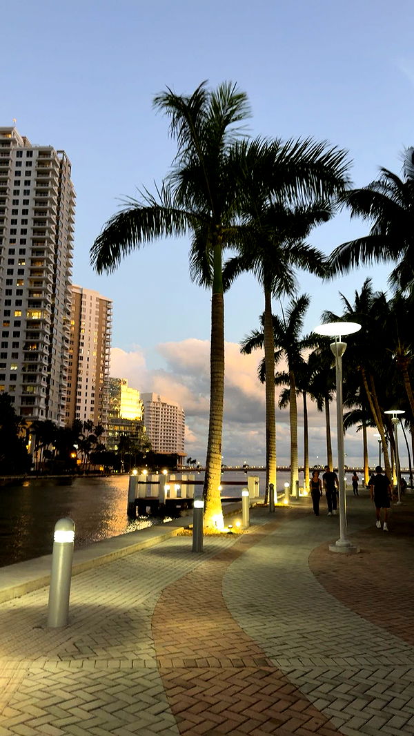 bellarenaldii image ~ Altpins