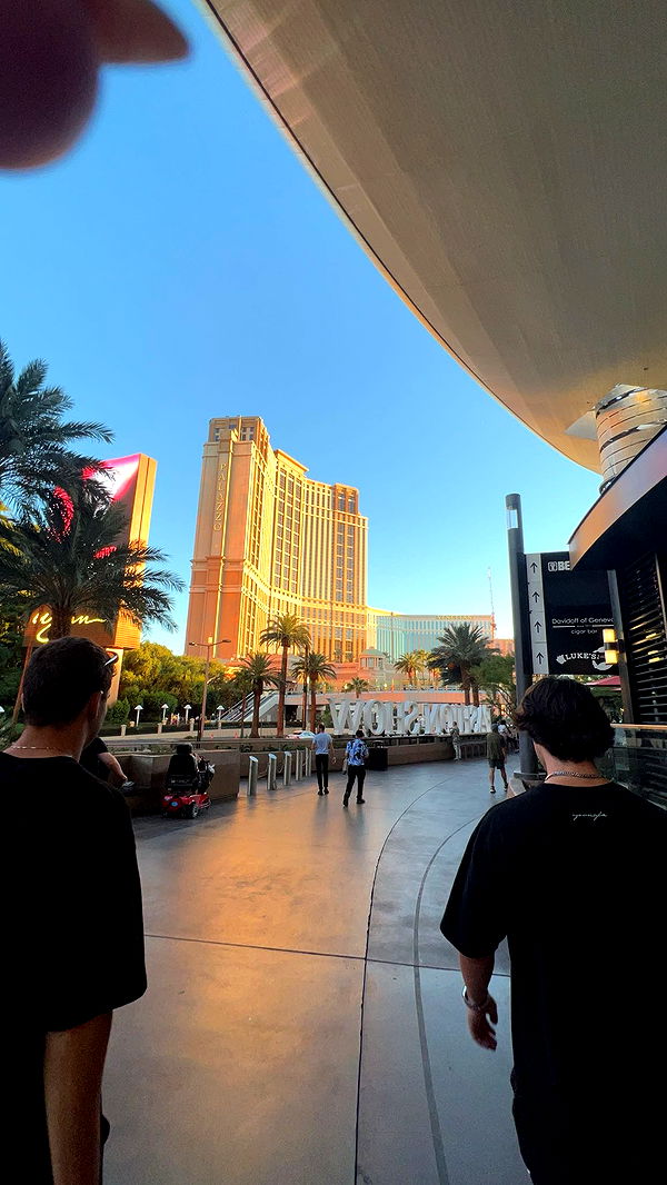 bellarenaldii image ~ Altpins