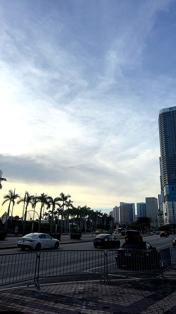 bellarenaldii image ~ Altpins