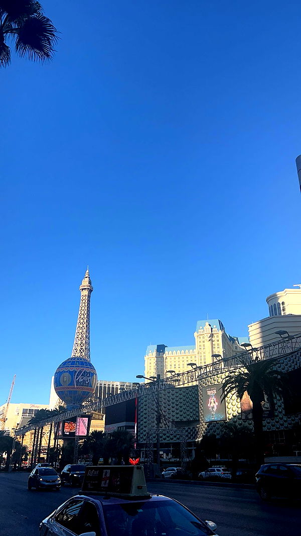 bellarenaldii image ~ Altpins