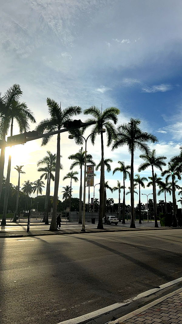 bellarenaldii image ~ Altpins