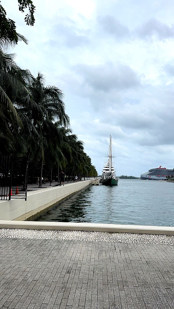 bellarenaldii image ~ Altpins