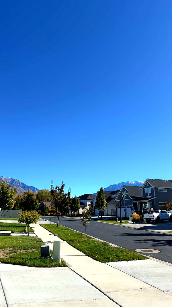 bellarenaldii image ~ Altpins