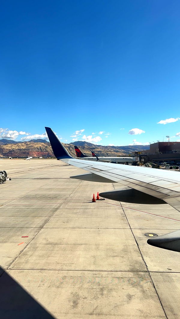 bellarenaldii image ~ Altpins