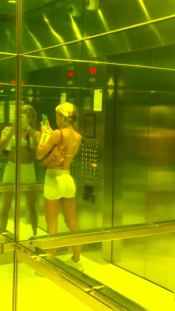 bellarenaldii image ~ Altpins